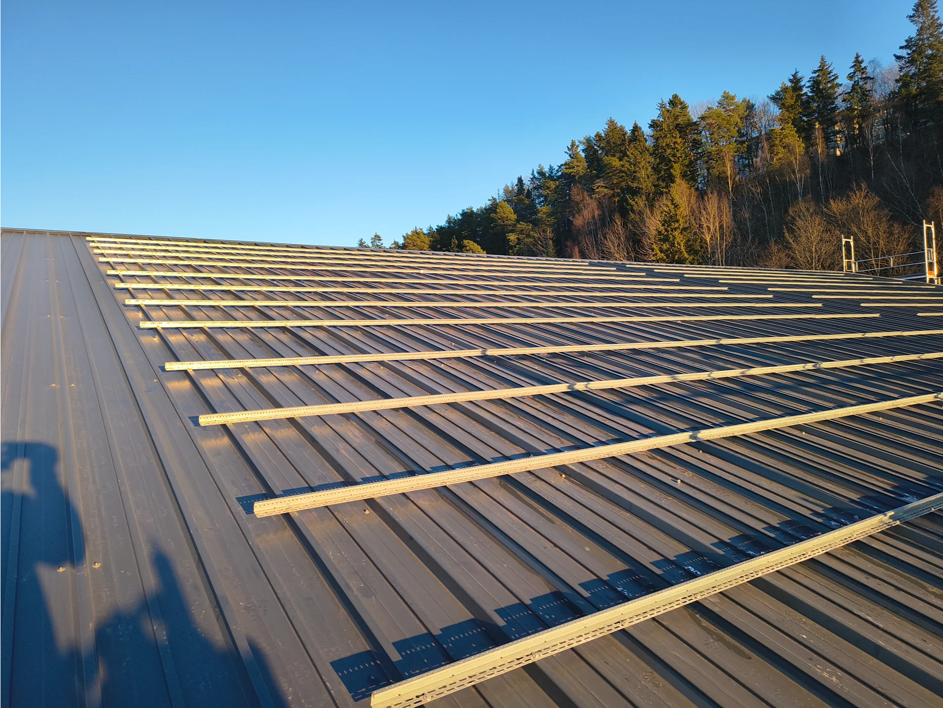 Timber roof framing construction with forest backdrop