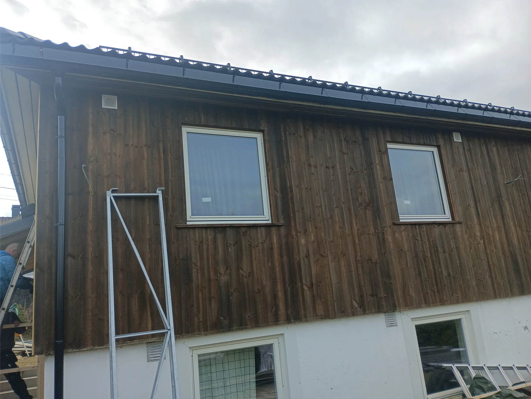 Modern residential building with dark wood cladding