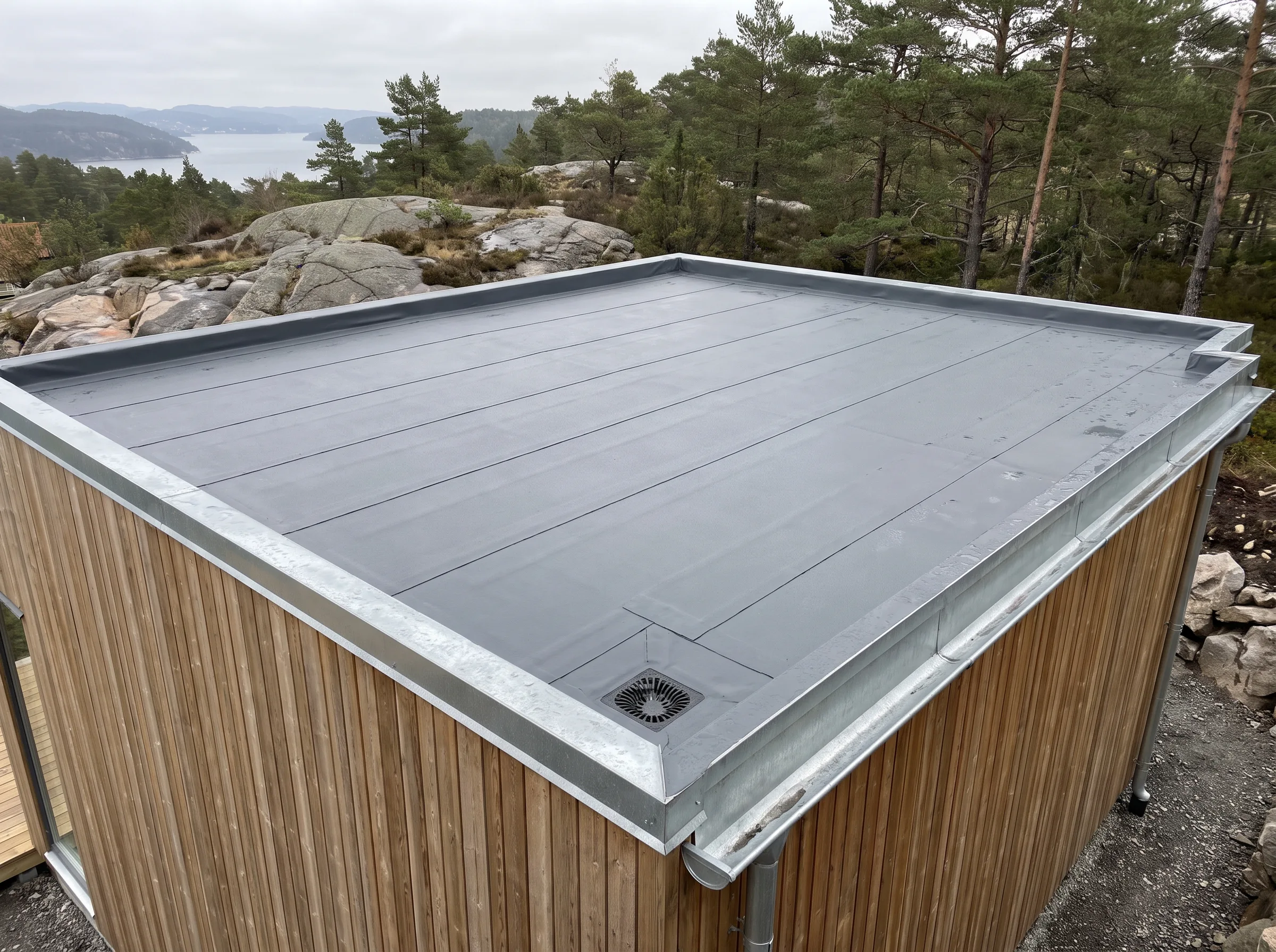 Flatt tak med metallmembran på en moderne hytte med trær rundt
